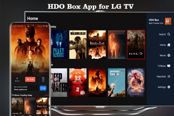 HDO Box App for LG TV